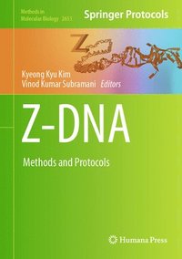 bokomslag Z-DNA
