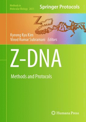 Z-DNA 1