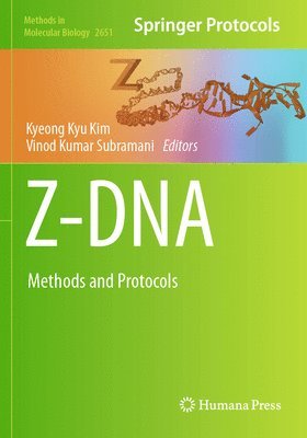Z-DNA 1