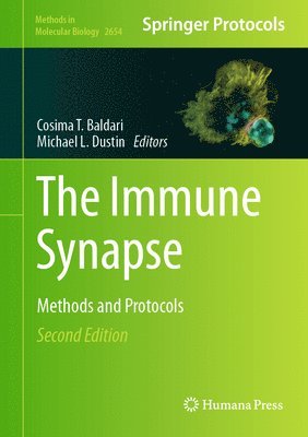 Immune Synapse