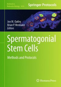 bokomslag Spermatogonial Stem Cells
