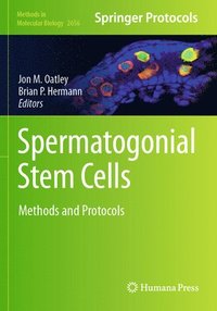 bokomslag Spermatogonial Stem Cells