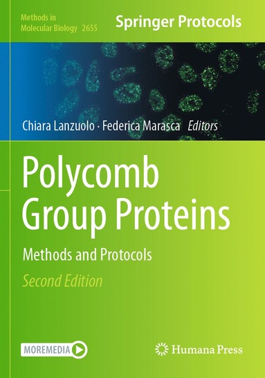 bokomslag Polycomb Group Proteins