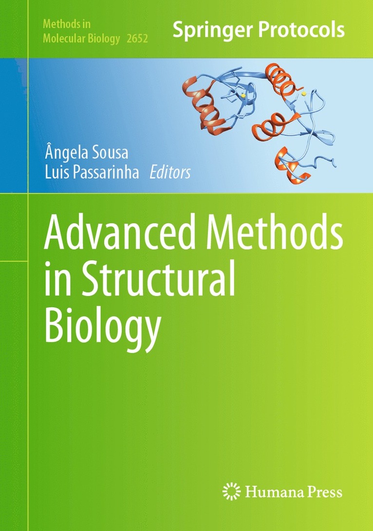 Ângela Sousa, Luis Passarinha, Angela Sousa - Advanced Methods in Structural Biology, Inbunden