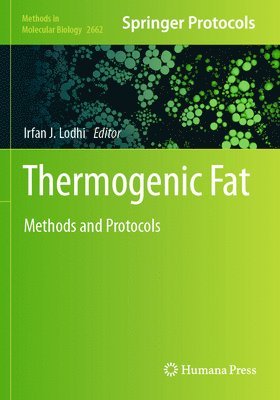 Irfan J. Lodhi - Thermogenic Fat, Häftad