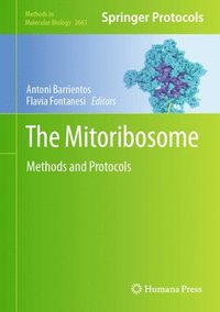 bokomslag The Mitoribosome