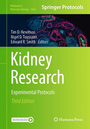 Tim D. Hewitson, Nigel D. Toussaint, Edward R. Smith - Kidney Research, Inbunden