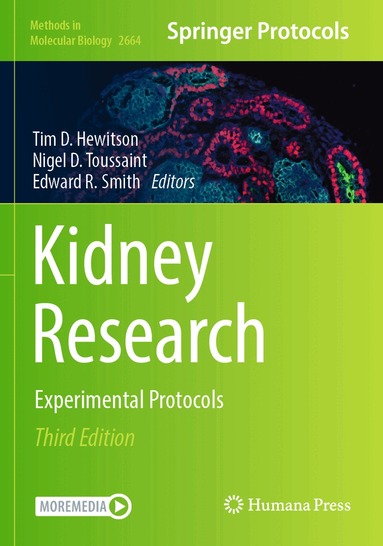 Tim D. Hewitson, Nigel D. Toussaint, Edward R. Smith - Kidney Research, Häftad