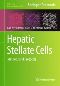 bokomslag Hepatic Stellate Cells
