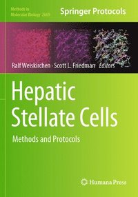 bokomslag Hepatic Stellate Cells