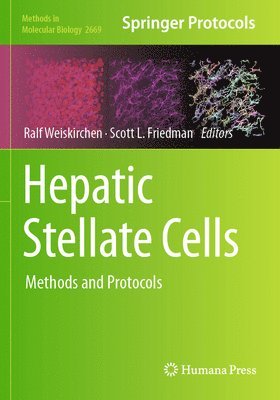 Hepatic Stellate Cells