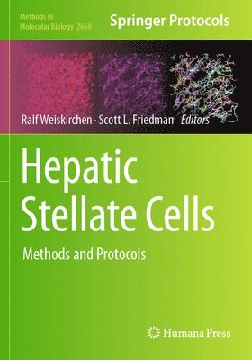 Hepatic Stellate Cells 1