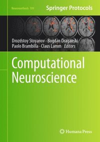 bokomslag Computational Neuroscience