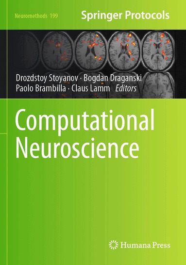 Drozdstoy Stoyanov, Bogdan Draganski, Paolo Brambilla, Claus Lamm - Computational Neuroscience, Häftad