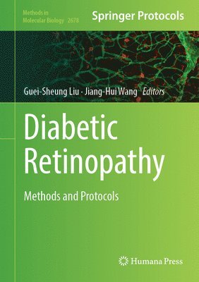 bokomslag Diabetic Retinopathy