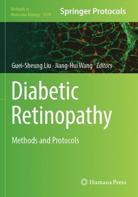 bokomslag Diabetic Retinopathy