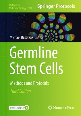 bokomslag Germline Stem Cells