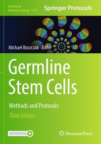 bokomslag Germline Stem Cells