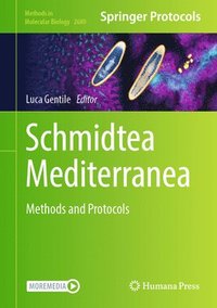 bokomslag Schmidtea Mediterranea