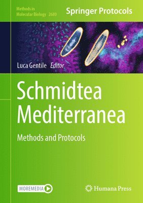 Schmidtea Mediterranea 1