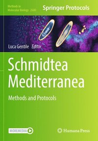 bokomslag Schmidtea Mediterranea