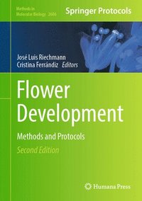 bokomslag Flower Development