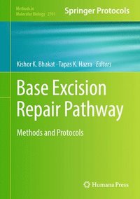 bokomslag Base Excision Repair Pathway