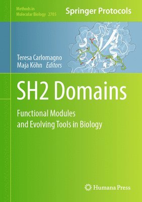 bokomslag SH2 Domains