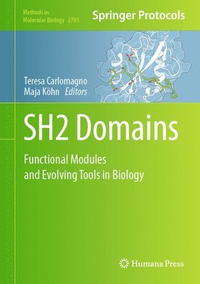 SH2 Domains 1