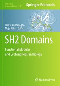 bokomslag SH2 Domains