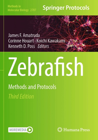 James F. Amatruda, Corinne Houart, Koichi Kawakami, Kenneth D. Poss - Zebrafish, Häftad