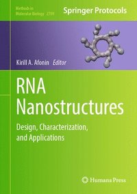 bokomslag RNA Nanostructures