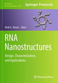 bokomslag RNA Nanostructures