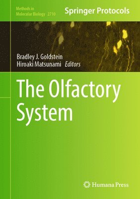 Olfactory System