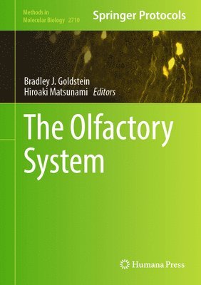 The Olfactory System 1