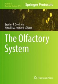 bokomslag The Olfactory System