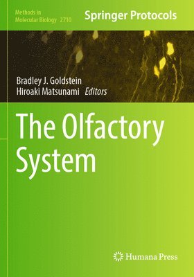 bokomslag The Olfactory System