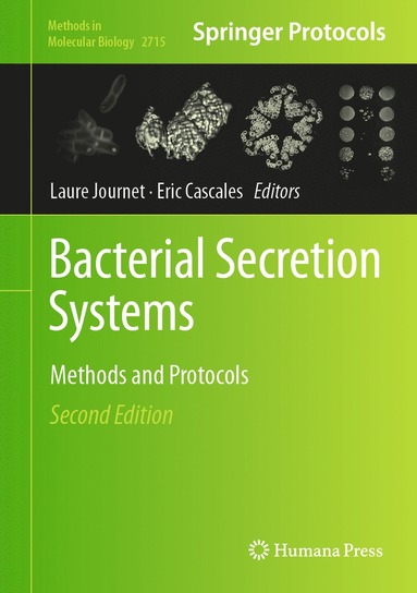 bokomslag Bacterial Secretion Systems