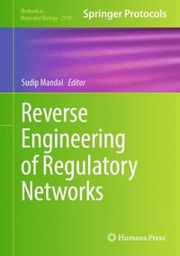 bokomslag Reverse Engineering of Regulatory Networks