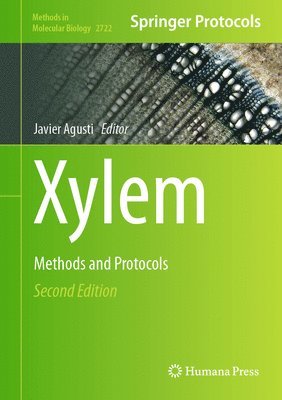 Xylem 1