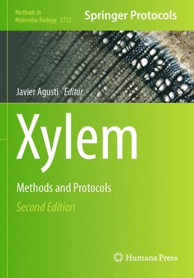 Xylem 1