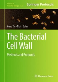 bokomslag The Bacterial Cell Wall