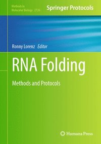 bokomslag RNA Folding