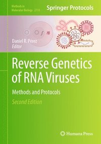 bokomslag Reverse Genetics of RNA Viruses