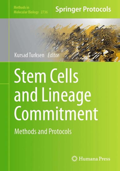 Kursad Turksen - Stem Cells and Lineage Commitment, Inbunden