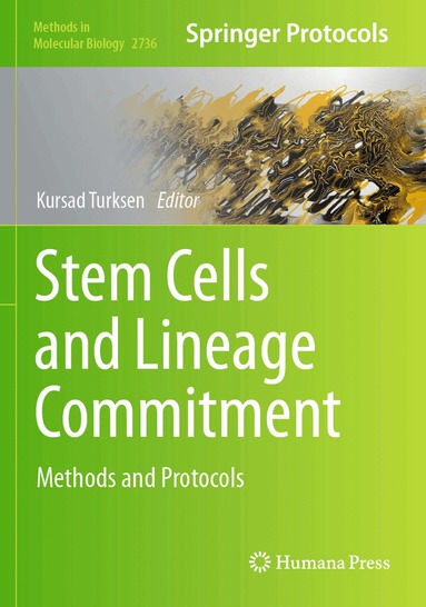 Kursad Turksen - Stem Cells and Lineage Commitment, Häftad