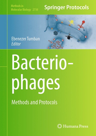 bokomslag Bacteriophages