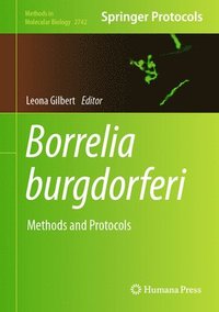 bokomslag Borrelia burgdorferi