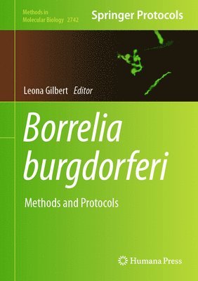 Borrelia burgdorferi 1