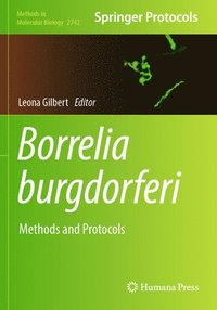 bokomslag Borrelia burgdorferi